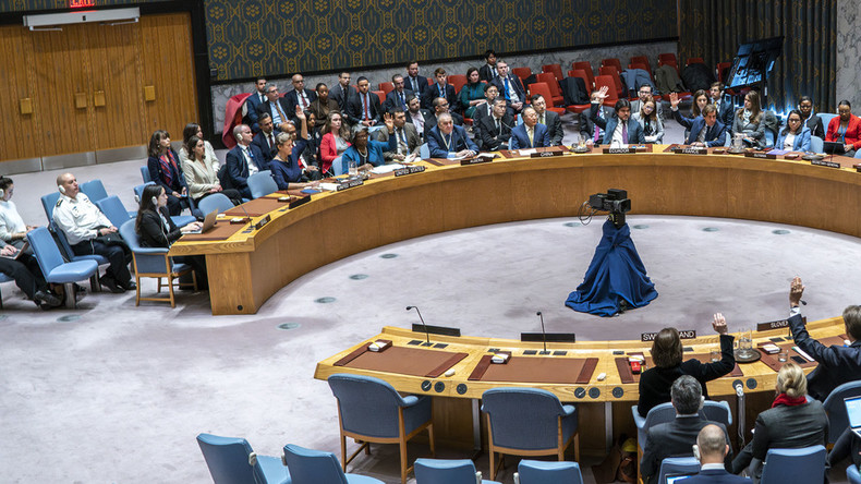 Conseil de sécurité de l'ONU sur les menaces à la sécurité internationale