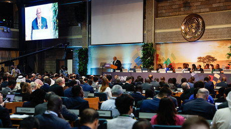 Environnement : la sixième session de l'Assemblée des Nations Unies se poursuit à Nairobi
