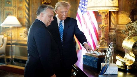 Trump «ne donnera pas un centime» à Kiev, prédit Orban