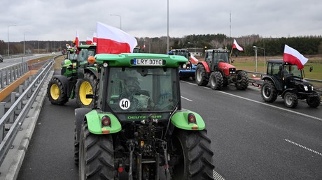 Manifestation d'agriculteurs polonais le 20 février (image d'illustration).