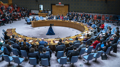 Attentat de Moscou : le Conseil de sécurité des Nations unies condamne un acte «odieux et lâche»