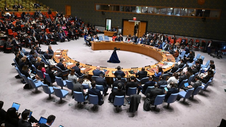 EN DIRECT : réunion du Conseil de Sécurité sur les questions de sécurité internationales