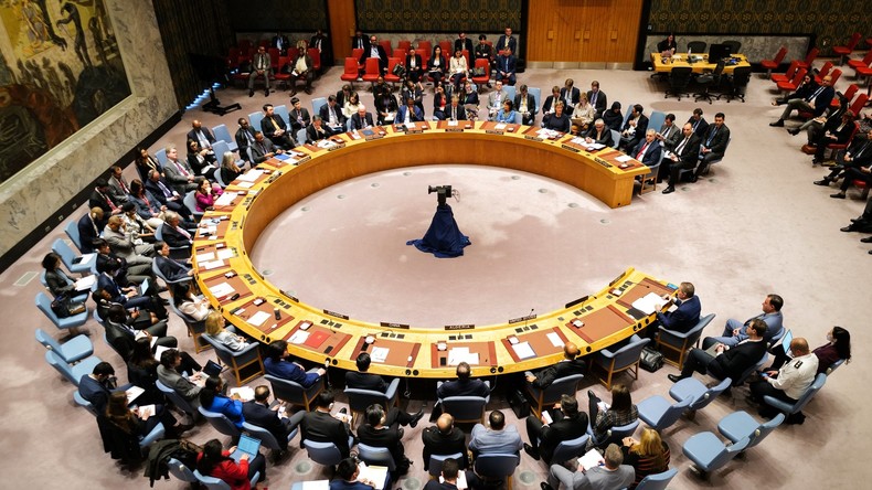 Conseil de sécurité de l'ONU sur la situation en Haïti
