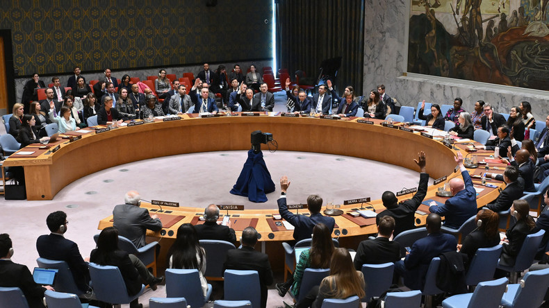 EN DIRECT : réunion du Conseil de sécurité de l'ONU