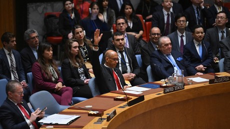 Conseil de sécurité : veto des États-Unis contre l'adhésion pleine et entière des Palestiniens à l'ONU