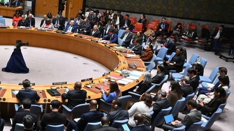 Conseil de sécurité de l'ONU : à l’ordre du jour, la paix et la sécurité internationales