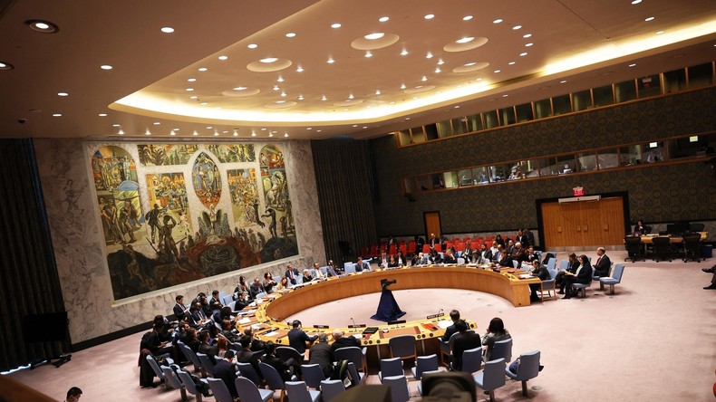 EN DIRECT : réunion du Conseil de sécurité de l'ONU sur la situation en Libye