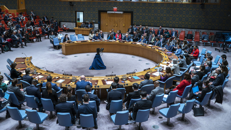 EN DIRECT : Réunion du Conseil de sécurité de l'ONU sur la situation en Libye