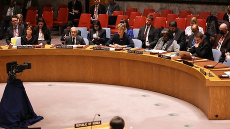 EN DIRECT : réunion du Conseil de Sécurité sur la crise ukrainienne