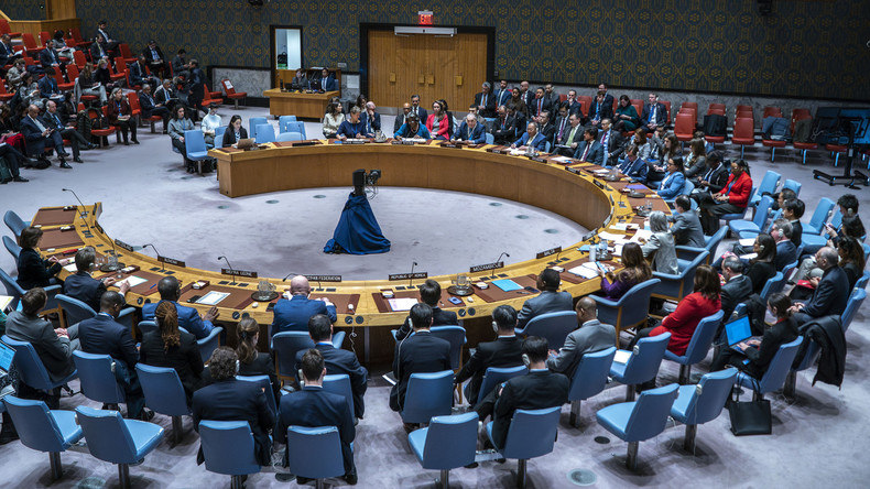 Nations unies : réunion du Conseil de sécurité sur la protection des civils dans les conflits armés