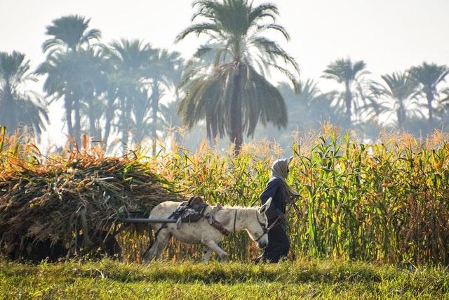 Tunisie : le portefeuille des ménages directement impacté par le stress hydrique, selon un rapport