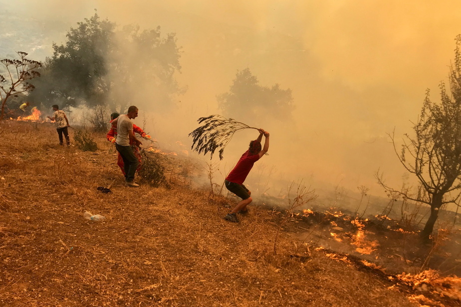 Incendies de forêt : la Tunisie et l’Algérie parmi les pays les plus exposés