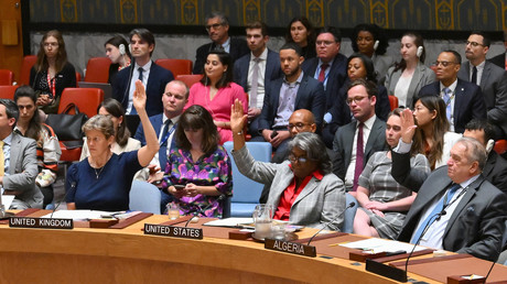 Gaza : le Conseil de sécurité adopte la résolution américaine soutenant un cessez-le-feu, la Russie s'abstient