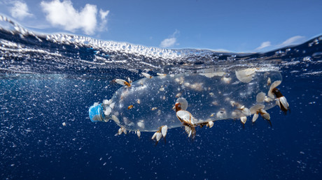 Le plastique fléau des océans : pour dénoncer la pollution marine, trois rameurs vont parcourir l’Arctique