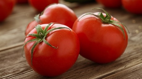 Le Maroc connaît une récolte de tomates sans précédent