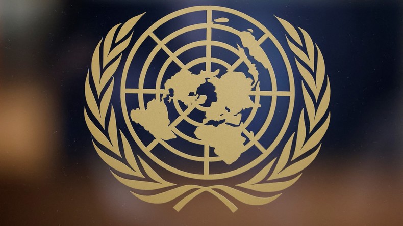 Conseil de sécurité de l'ONU: la représentation de l'Afrique à l'ordre du jour