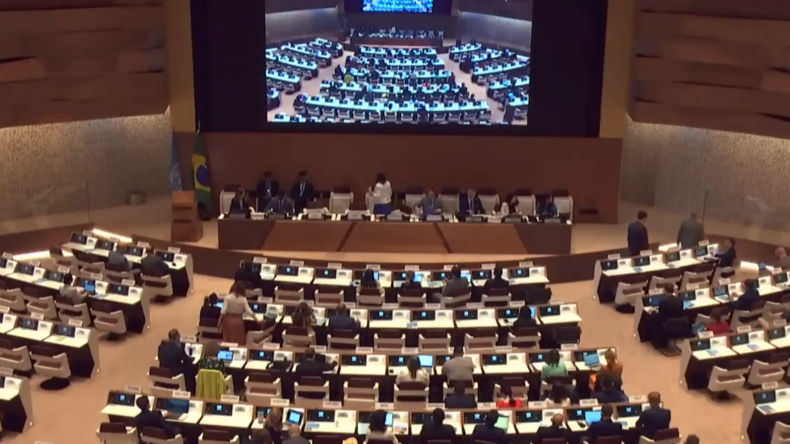 EN DIRECT : 4e réunion de l'ONU sur la Convention sur les armes biologiques