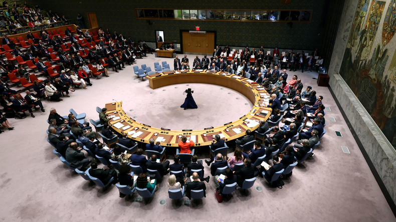 Conseil de sécurité de l'ONU : à l’ordre du jour, la paix et la sécurité internationales