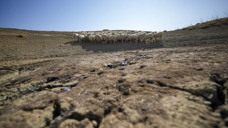 Face à la sécheresse et au stress hydrique, le Maroc mise sur le dessalement de l'eau de mer