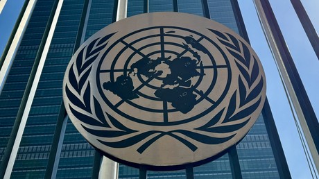 EN DIRECT : 7ème réunion de l'ONU sur la Convention sur les armes biologiques