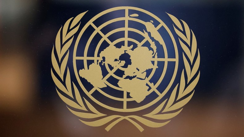 EN DIRECT : réunion sur la Convention sur certaines armes classiques à l'ONU