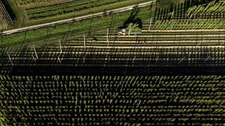 Fichage de personnalités «critiques» des pesticides et des OGM : une société américaine épinglée