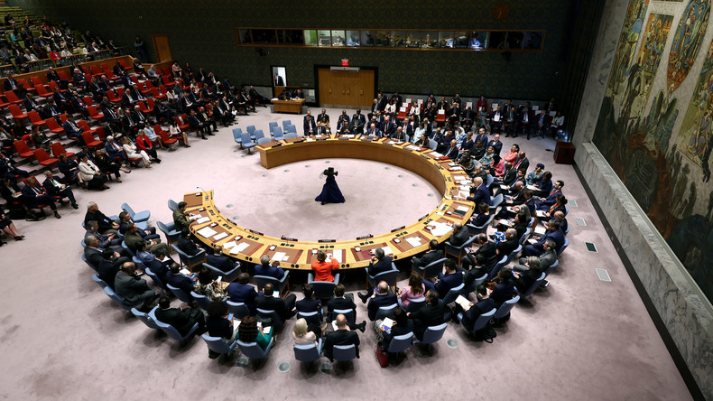 Conseil de sécurité de l'ONU : situation au Proche-Orient