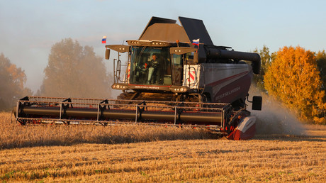 Le Kenya augmente sensiblement ses importations de blé en provenance de la Russie