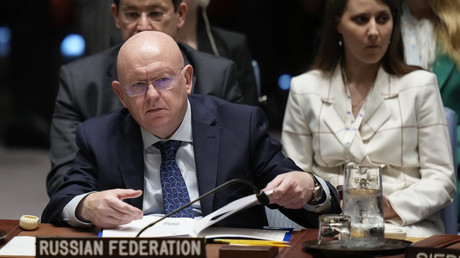 Guerre en Ukraine : «il n'y aura pas de gel du front», assure Nebenzia