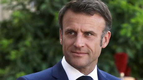 «Le monde est fait d'herbivores et de carnivores» : la métaphore improbable de Macron pour évoquer les tensions internationales