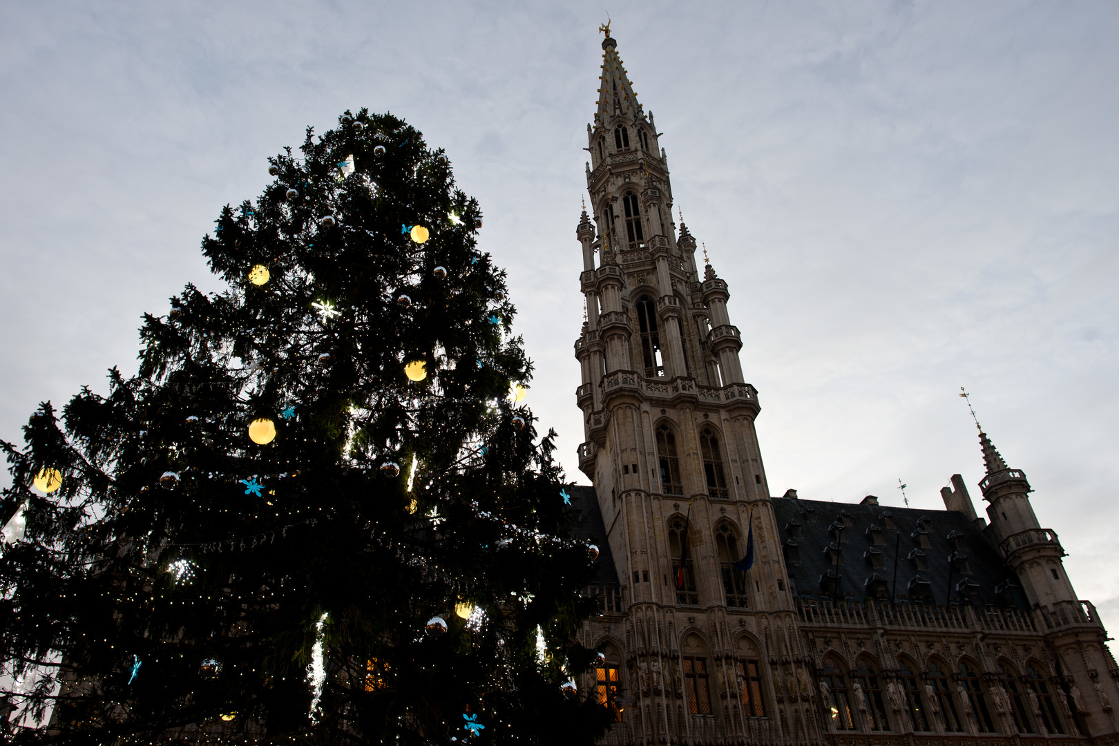 Les autorités belges mettent en garde contre la consommation alimentaire des sapins de Noël