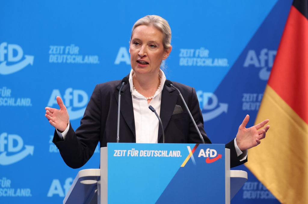 Allemagne : «Nous remettrons Nord Stream en service», assure la candidate de l'AfD