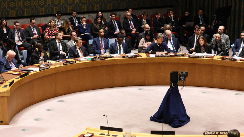 Membres du Conseil de sécurité des Nations unies