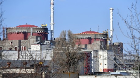 Kiev proteste : l'AIEA procéde à une rotation sans consulter l'Ukraine