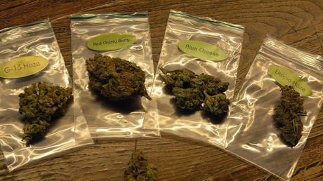 Gironde : 564 kg de cannabis saisis, quatre suspects écroués