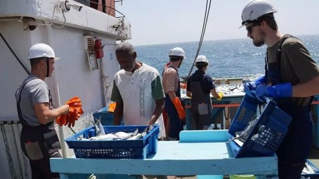 La Russie et le Maroc sur le point de reconduire leur coopération en matière de pêche