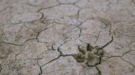 En Île-de-France, les sécheresses pourraient coûter jusqu’à 2,5 milliards d’euros