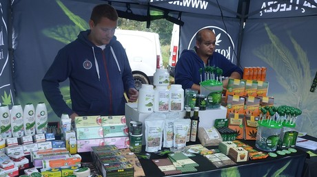 Cannabis médical : un pas décisif vers sa généralisation en France