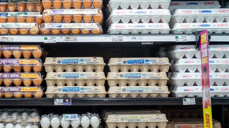 Économie : la France confrontée à une pénurie d'œufs