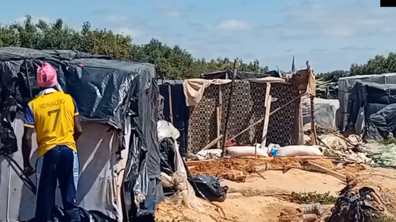 Tunisie : 20 000 migrants évacués de camps de fortune installés dans des oliveraies