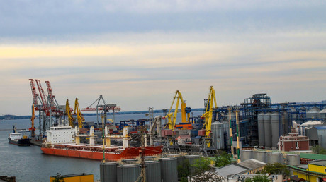 Conflit en Ukraine : le ministre polonais veut acheter le port ukrainien d'Odessa