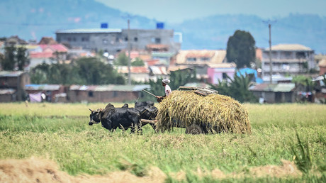 Le Zimbabwe débute l'indemnisation des fermiers blancs