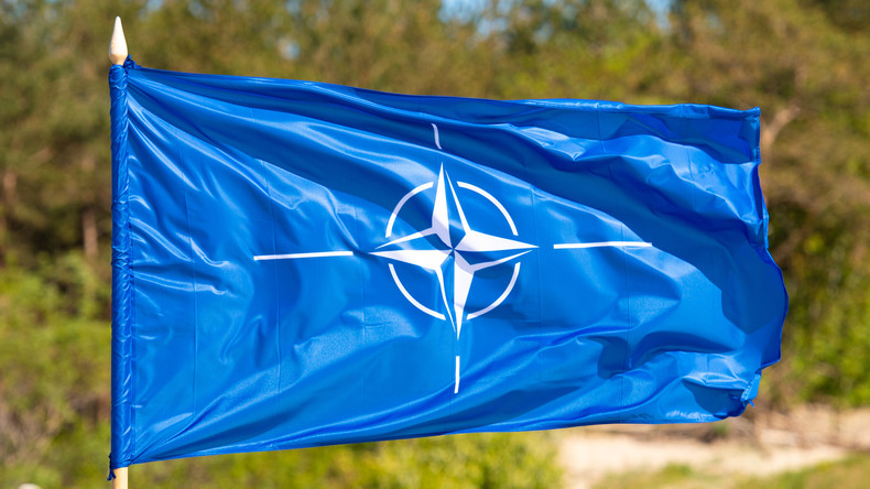 L'OTAN pourrait offrir un «soutien moral» à l'Ukraine lors des négociations avec la Russie le 15 mai