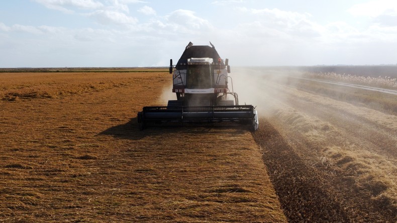 La Russie renforce son aide humanitaire à l’Afrique : des cargaisons de nourriture et de carburant livrées gratuitement