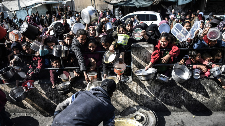 Pourquoi les distributions de nourriture dans la bande de Gaza virent au chaos