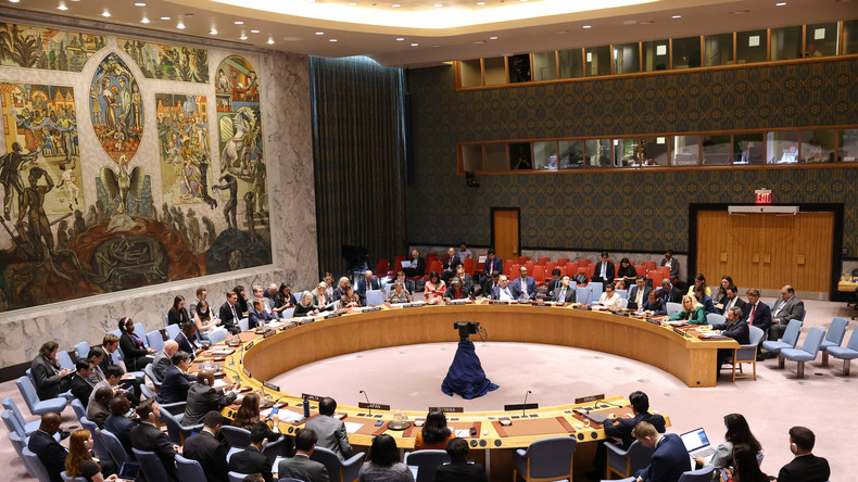 Colère au Conseil de sécurité de l’ONU après le veto américain sur une trêve à Gaza