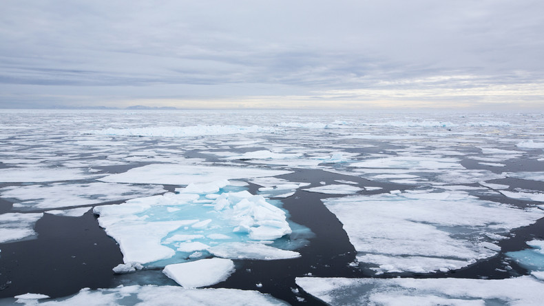 Arctique : une armée de robots contre la fonte des glaces