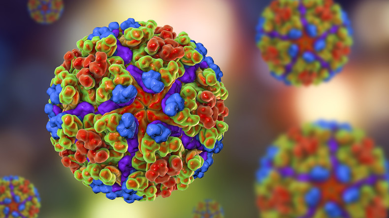 Un retour en force, précoce et inédit, du chikungunya en France
