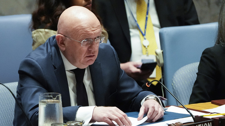 «Seuls les Soudanais eux-mêmes peuvent parvenir à un accord», affirme Vassili Nebenzia à l’ONU