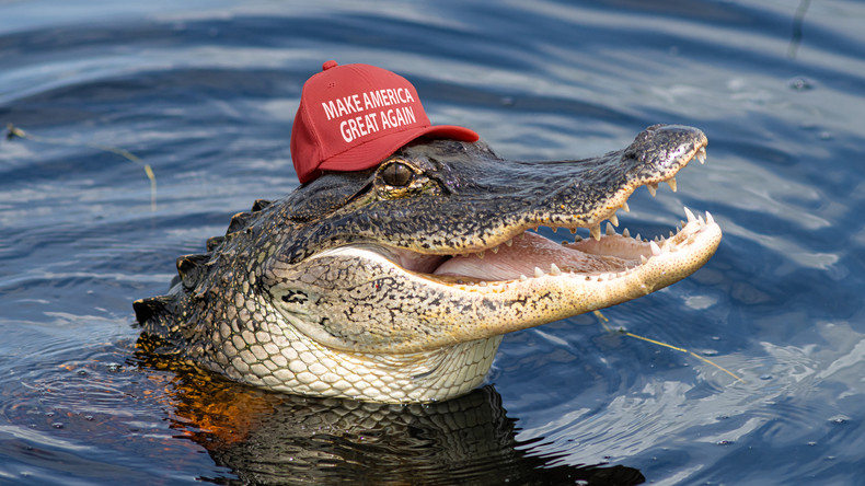 «Alcatraz des Alligators» : Trump inaugure un camp pour migrants au cœur des marécages
